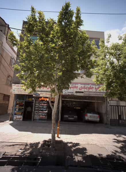 عکس چکاب جلوبندی بخشی در هنرور مشهد