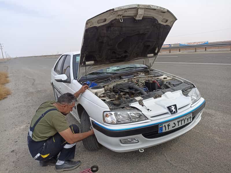 عکس تعمیرگاه دامنش در نیزه مشهد