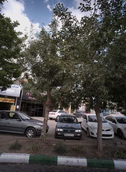 عکس تعمیرگاه خودرو تون آپ سرویس در فدک مشهد