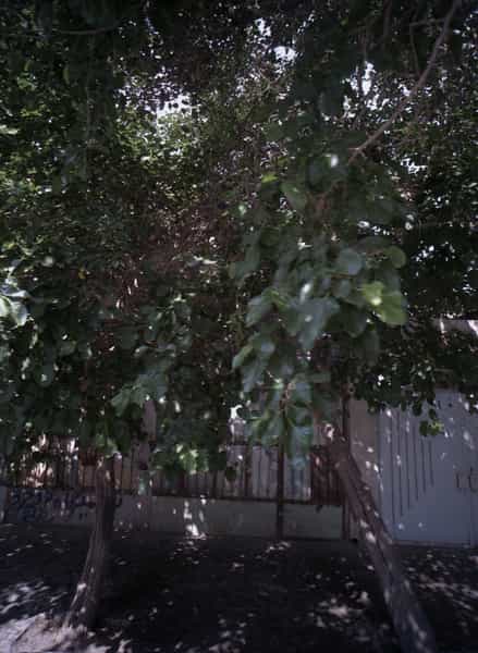 عکس تعمیرگاه دوچرخه رضایی در فدک مشهد