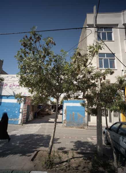 عکس صافکاری جلوبندی سپرسازی در آب و برق مشهد