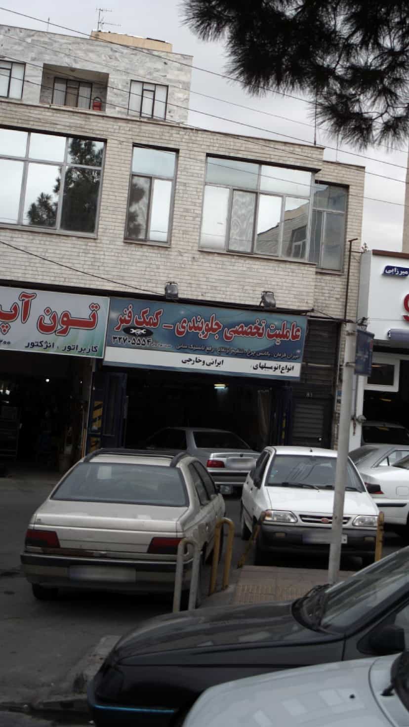 عکس عاملیت تخصصی جلوبندی در درختی کرج