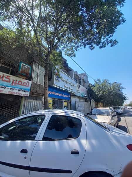 عکس طباخی سفید بره در مجد مشهد