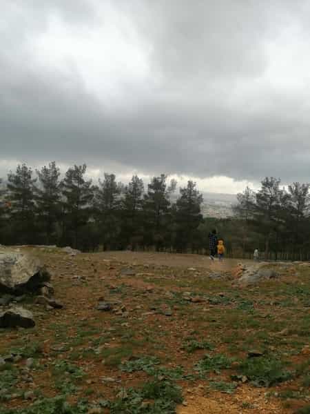 عکس تالار پذیرایی گل یاس کرمانشاه