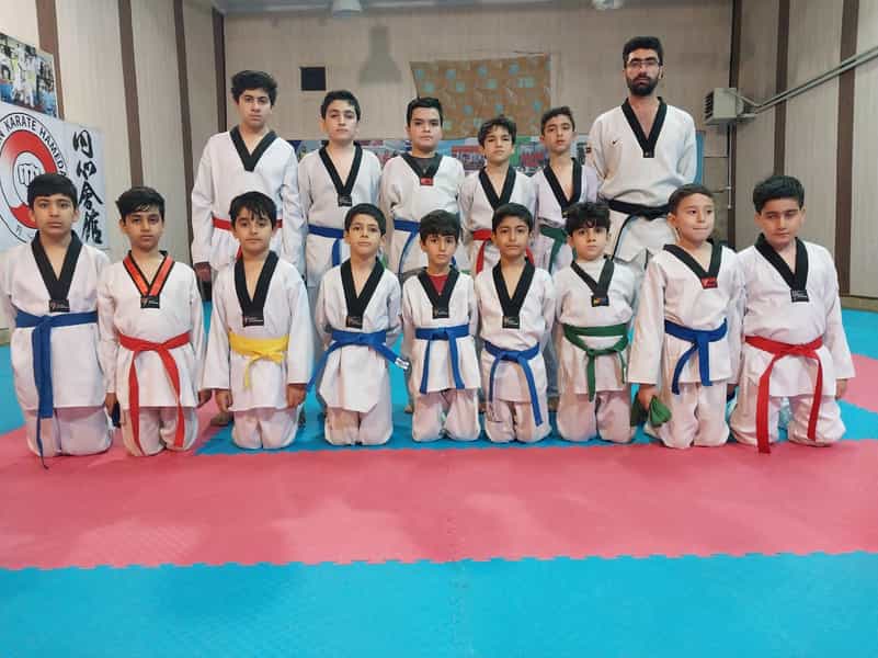 عکس باشگاه آکادمی تکواندو رزمنده کوی استادان همدان