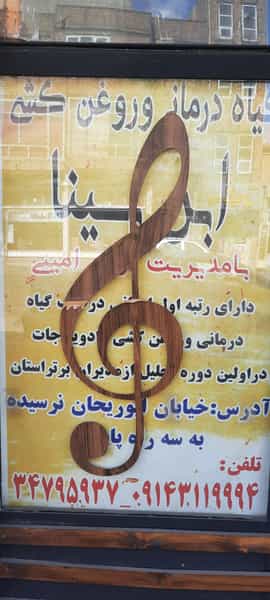 عکس داروگیاهی ابن سینا در ابوریحان تبریز