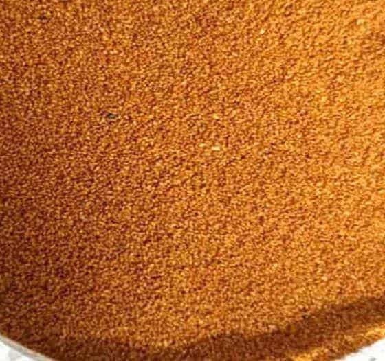 عکس داروگیاهی ابن سینا در ابوریحان تبریز