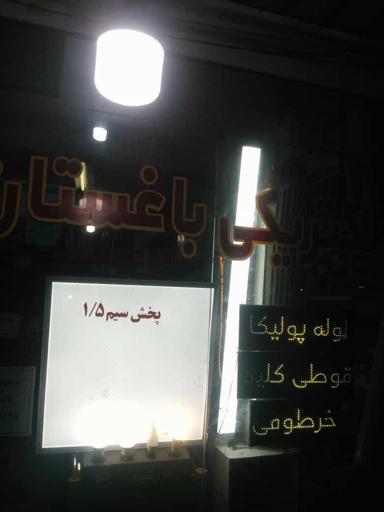 عکس گیاهان دارویی ناب شیراز در دانشگاه بندرعباس