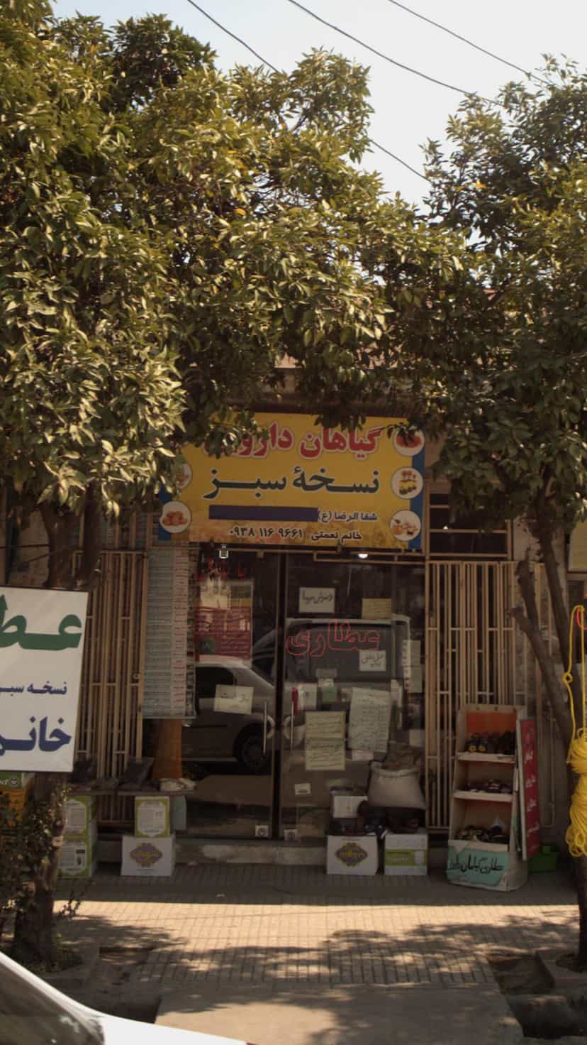 عکس گیاهان دارویی نسخه سبز در مراد بیگ بابل
