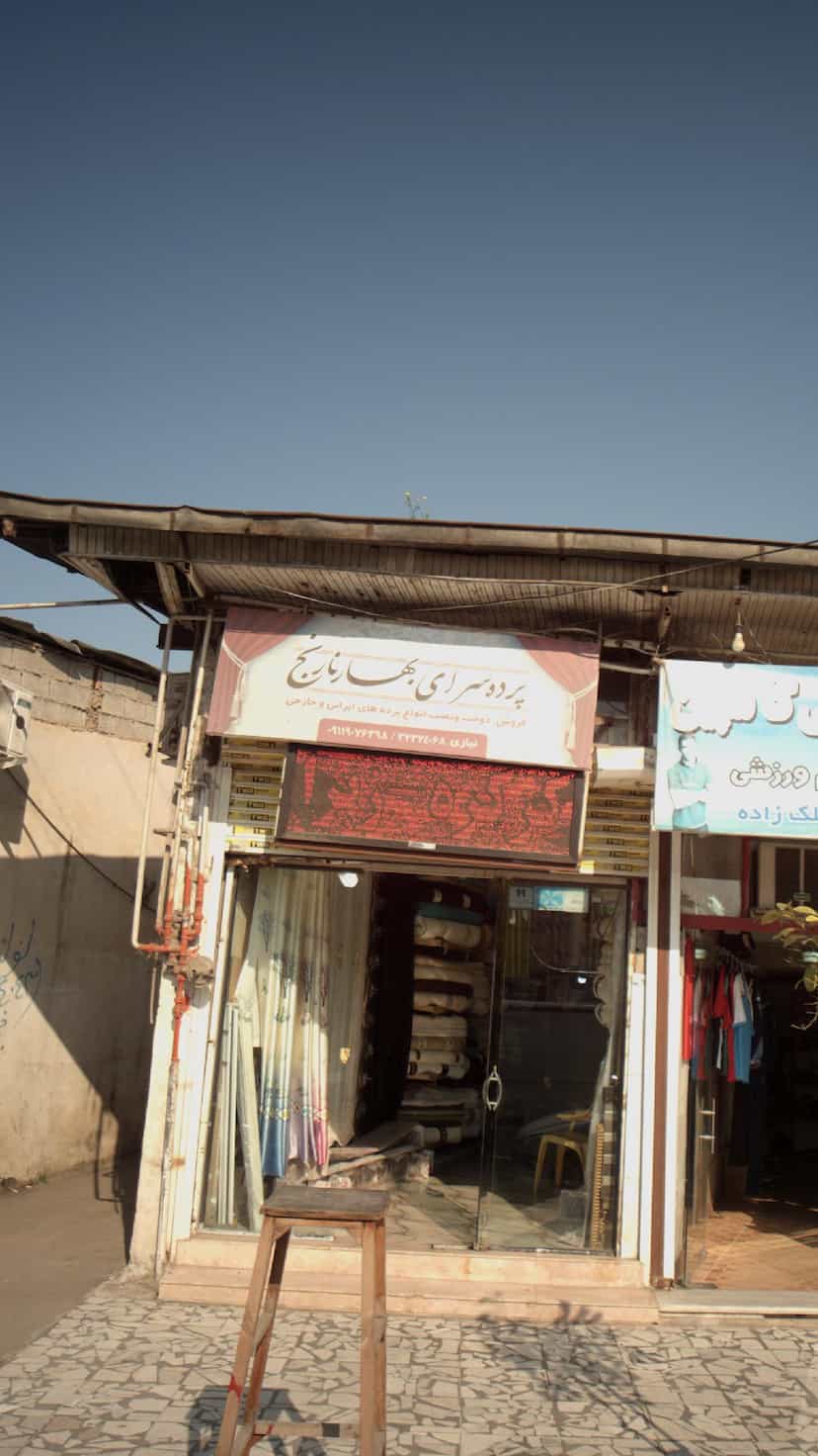 عکس بهار نارنج در حکیم آباد بابل