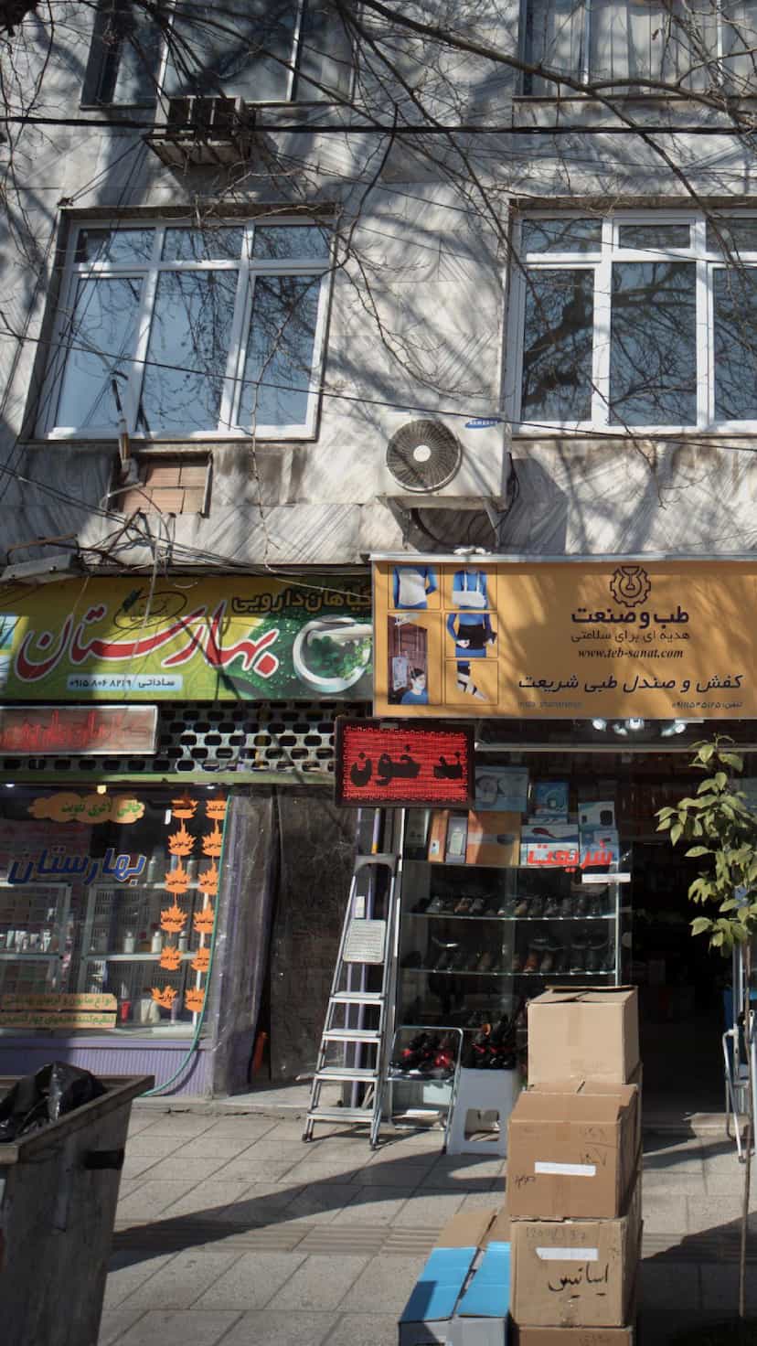 عکس گیاهان دارویی بهاران در طبرسی ساری