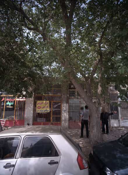 عکس پرنده فروشی در سیدی مشهد