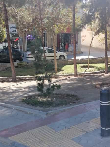 عکس پت شاپ یونیکورن در وحید اصفهان