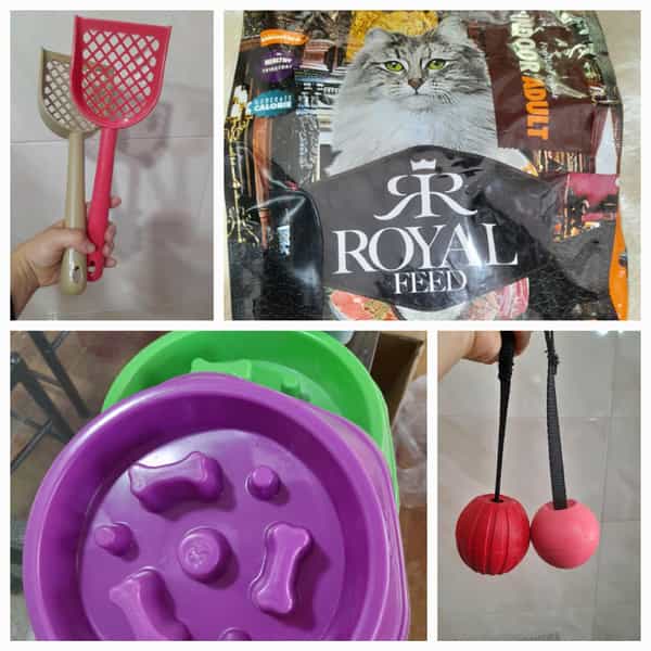 عکس پت شاپ نیلی در جی شیر اصفهان