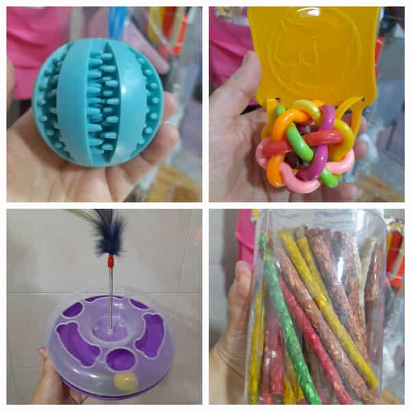 عکس پت شاپ نیلی در جی شیر اصفهان