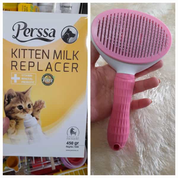 عکس پت شاپ نیلی در جی شیر اصفهان