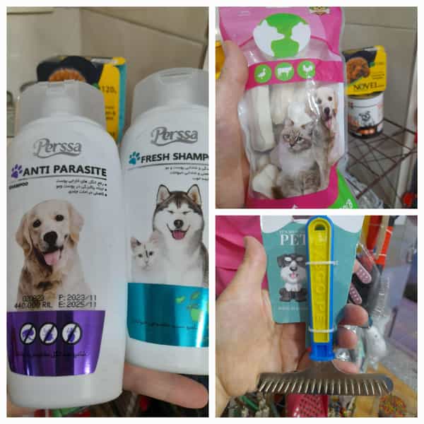 عکس پت شاپ نیلی در جی شیر اصفهان