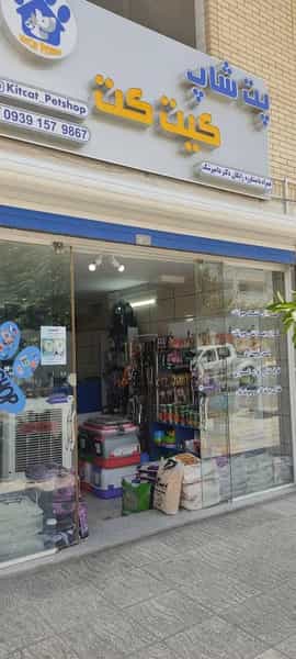 عکس پت شاپ کیت کت شهرک شهید بهشتی شیراز