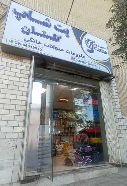 عکس پت شاپ متیو شهرک گلستان شیراز