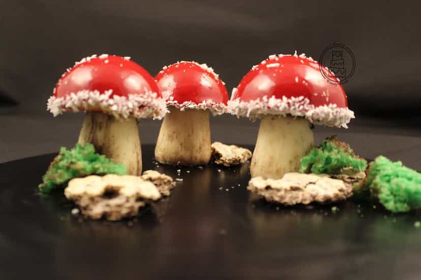 عکس آموزشگاه قصر آبنباتی آناهید در رضاشهر مشهد