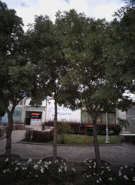 عکس آموزشگاه رانندگی ایران زمین در فدک مشهد