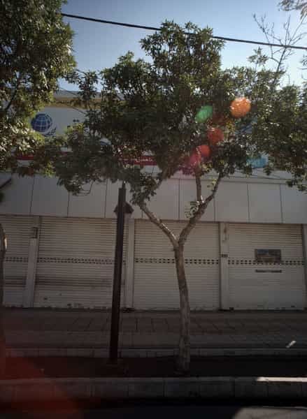 عکس مرکز زبان دیپلمات در گلشور مشهد