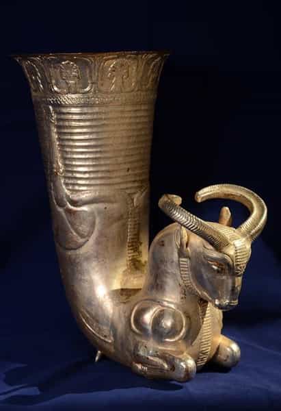 عکس آموزشگاه ریتون در تاچارا شیراز