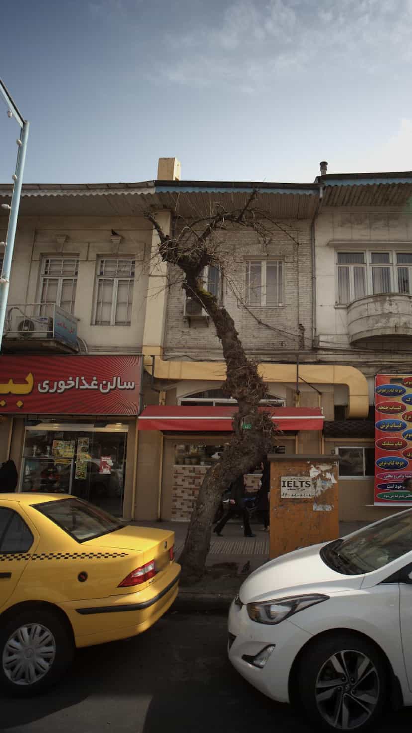 عکس مجتمع آموزشی بهداشت گیل سلامت در رودبارتان رشت