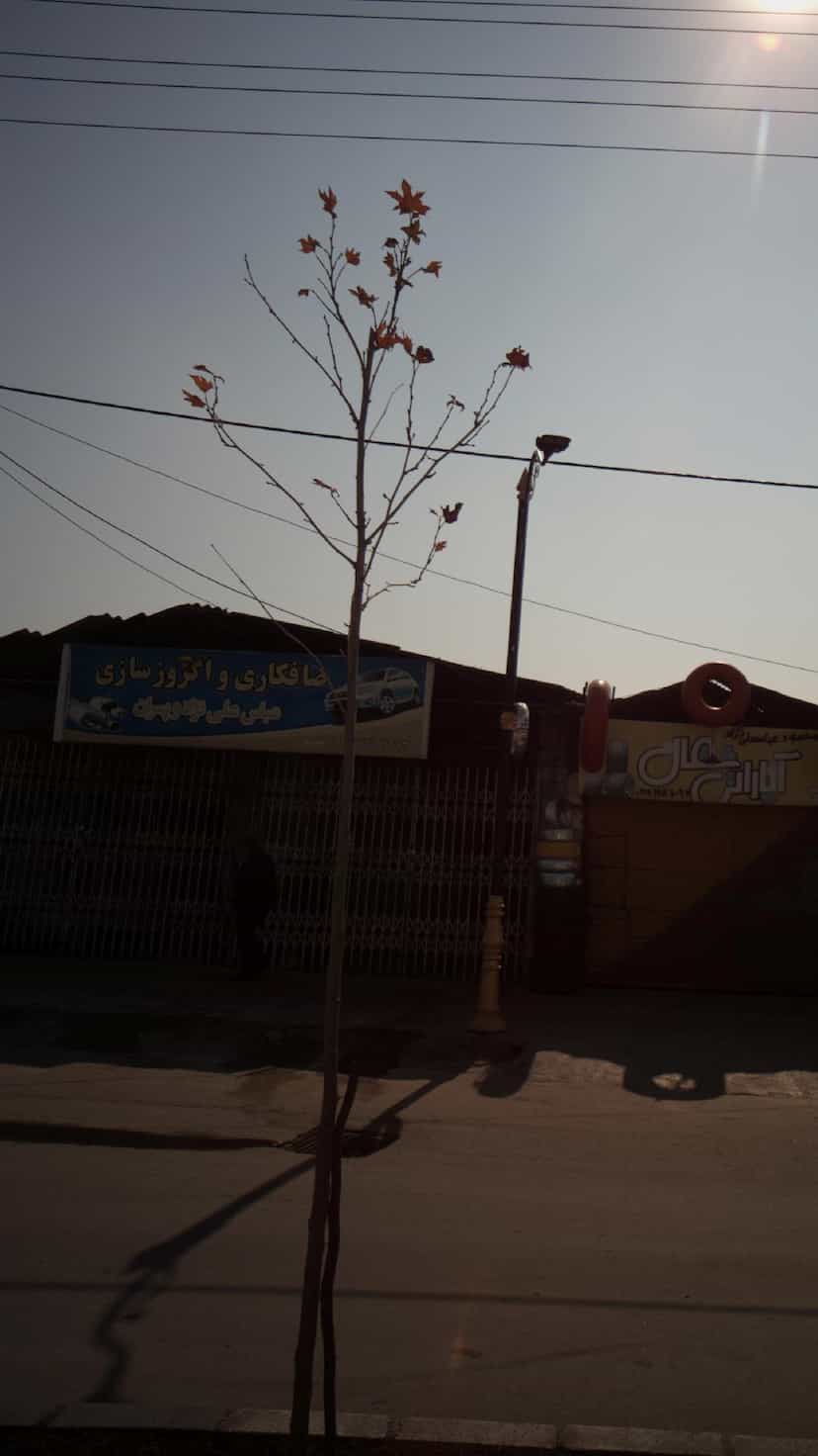 عکس صافکاری و اگزوزسازی عباس علی نژاد و پسران در موزیرج شمالی بابل