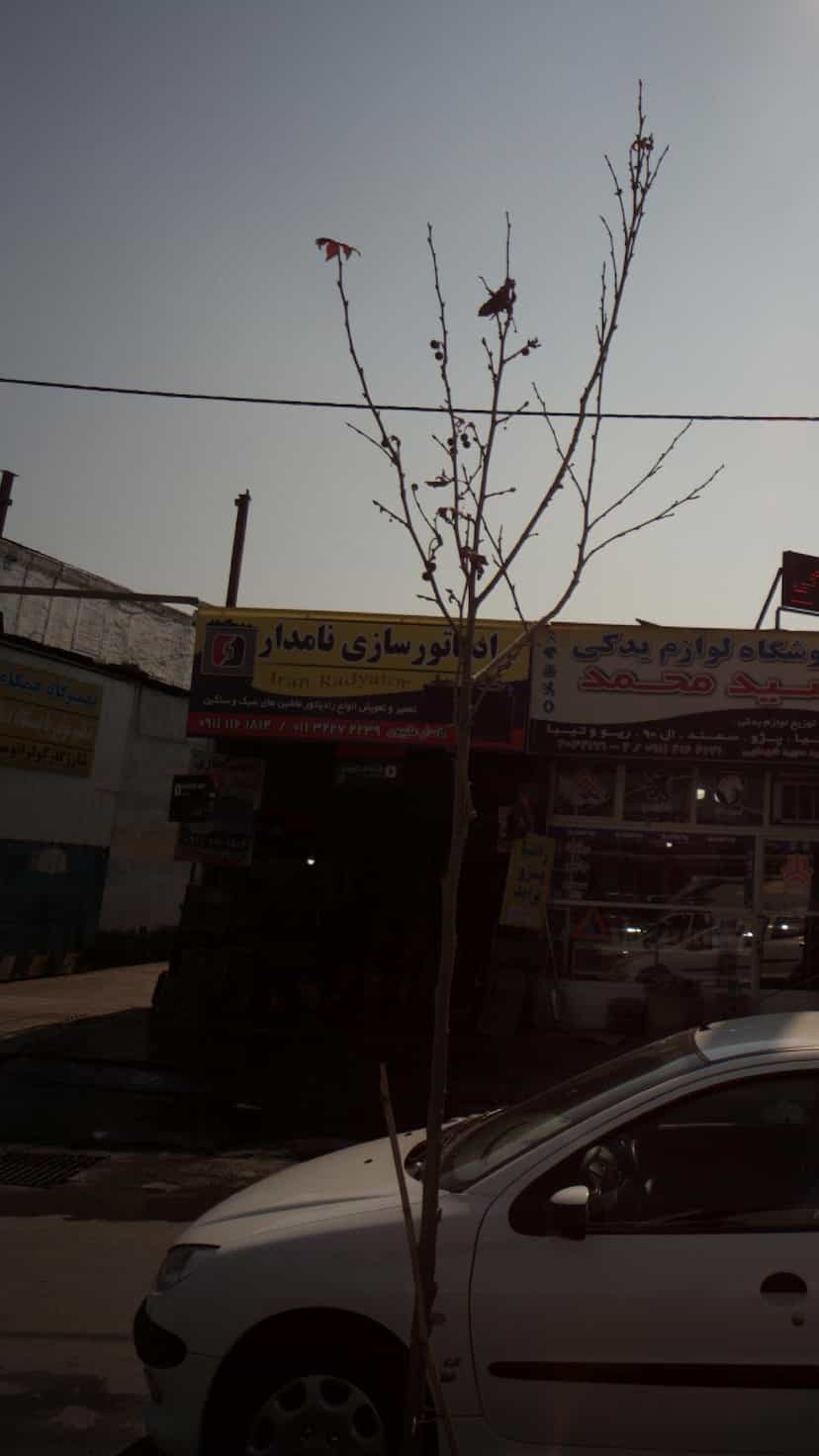 عکس رادیاتورسازی نامدار در موزیرج شمالی بابل