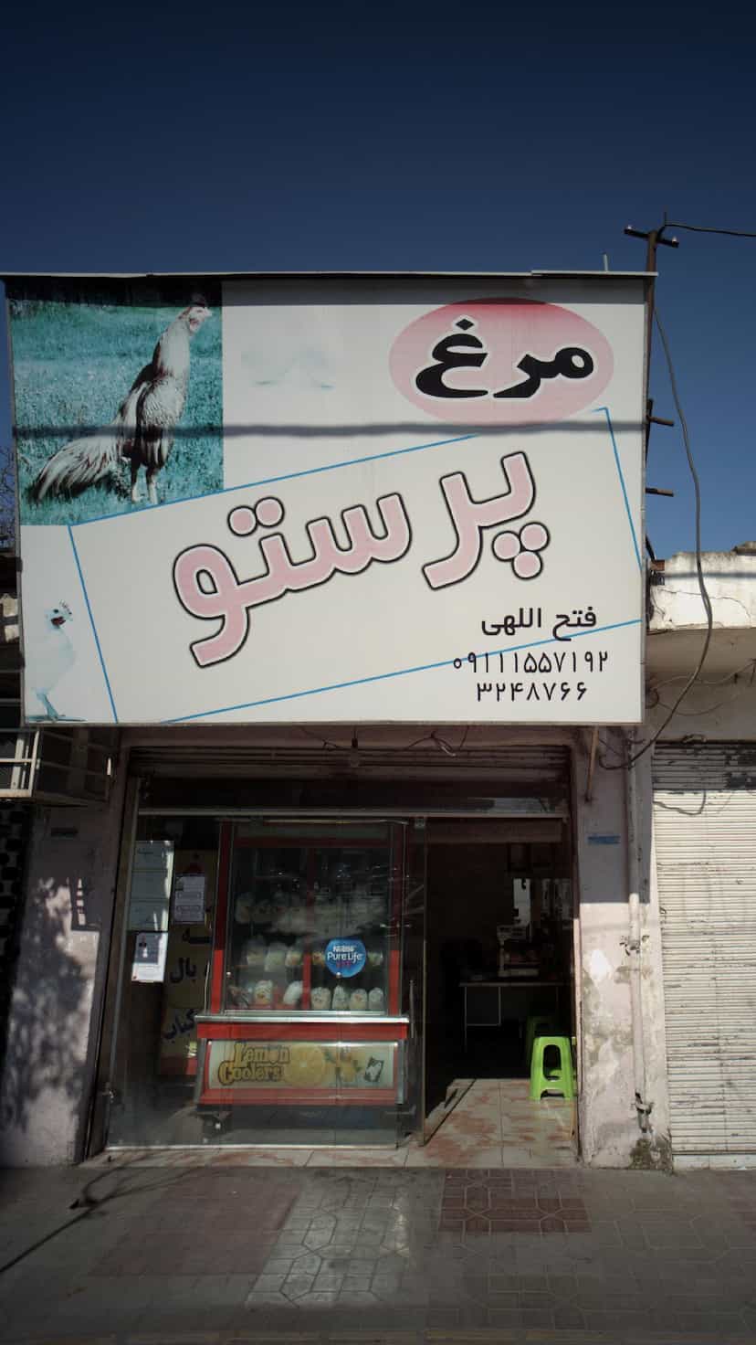 عکس پروتئینی پرستو کوی رجایی ساری