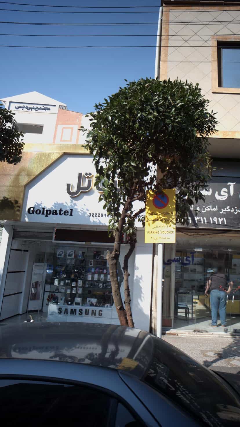 عکس گلپ تل در مراد بیگ بابل