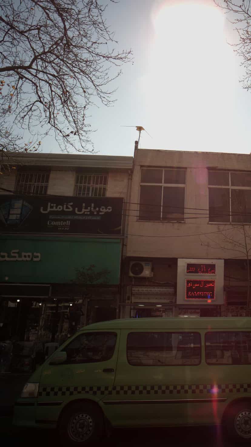 عکس موبایل کامتل در طبرسی ساری