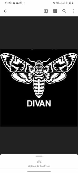 عکس حوله دیوان در منظریه تبریز