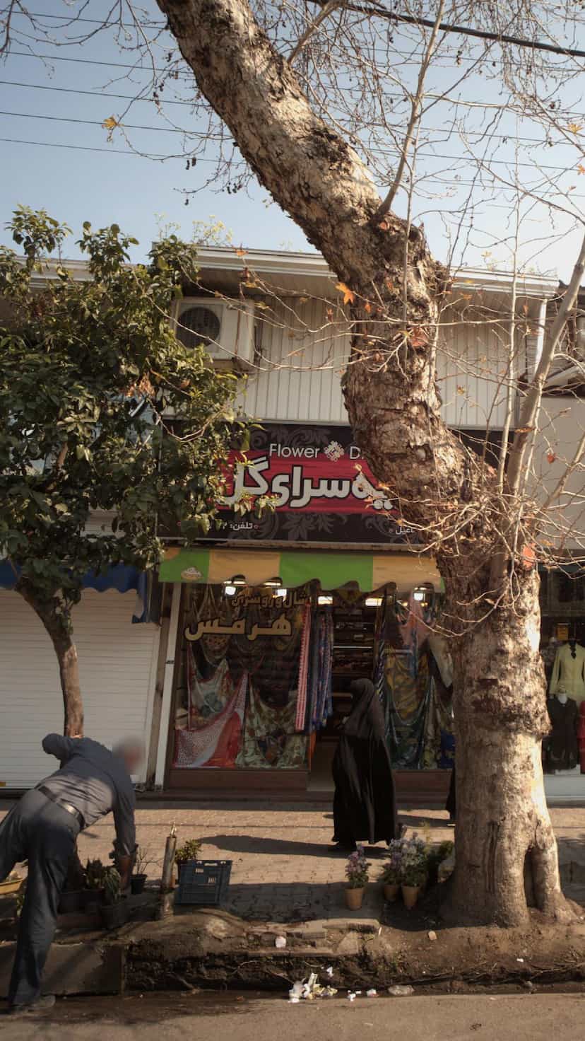 عکس شال و روسری هرمس در مراد بیگ بابل