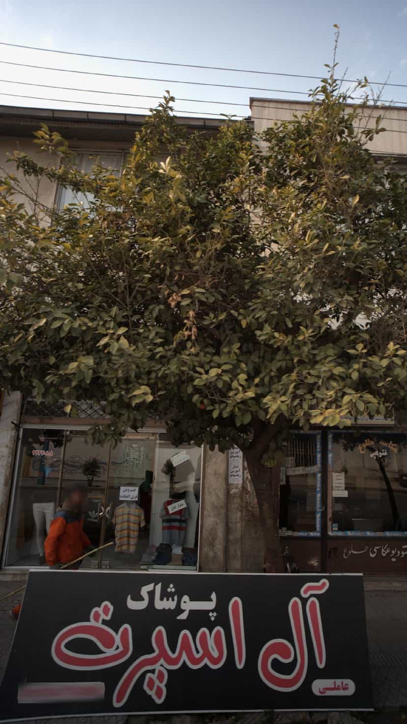 عکس پوشاک آل اسپرت در حکیم آباد بابل