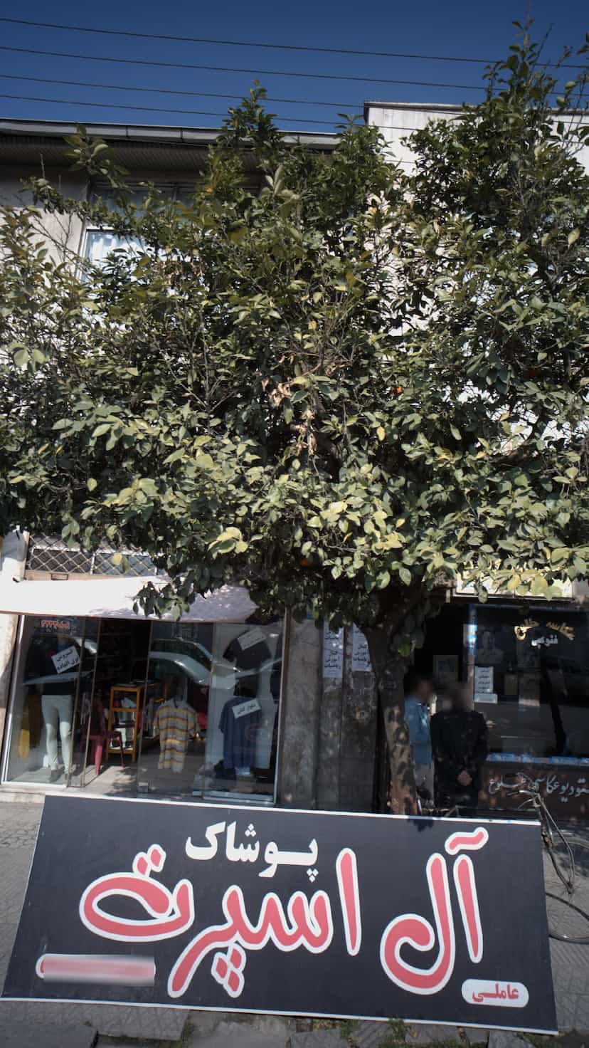 عکس پوشاک آل اسپرت در حکیم آباد بابل