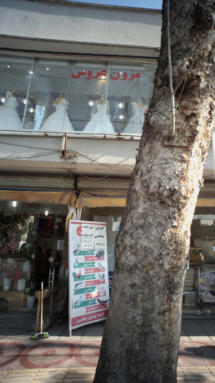 عکس مزون عروس در طبرسی ساری