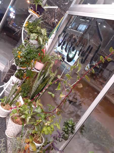 عکس املاک پلاک در سیمان ارومیه