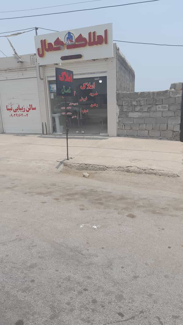 عکس املاک کمال در درخت سبز بندرعباس