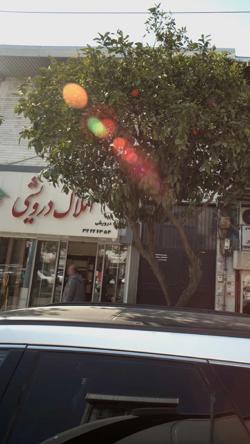 عکس املاک درویشی در مراد بیگ بابل