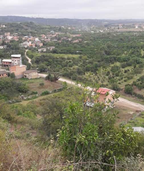 عکس مشاور املاک باغ ارم ساری