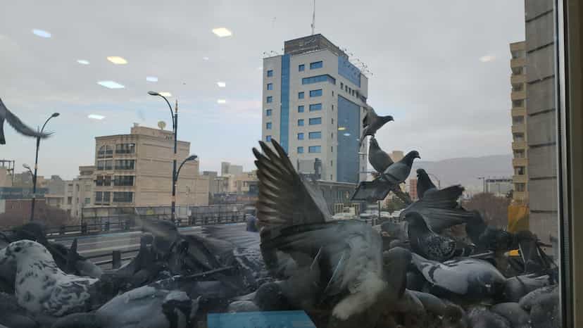 عکس دفتر اسناد رسمی ۱۴۴ تبریز در خیابان تبریز