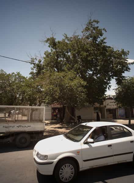 عکس کیف نگین در خواجه ربیع مشهد