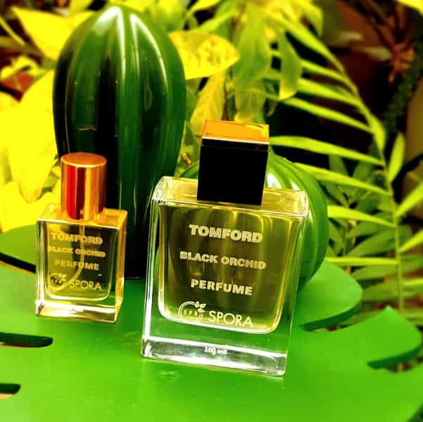 عکس شرکت رایحه پویش راد(spora) در ملک شهر اصفهان