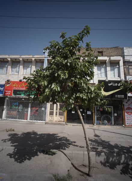 عکس فروشگاه کالای ورزشی در طبرسی شمالی مشهد