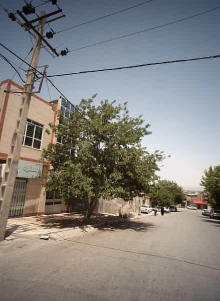 عکس فروشگاه بهاره در خواجه ربیع مشهد