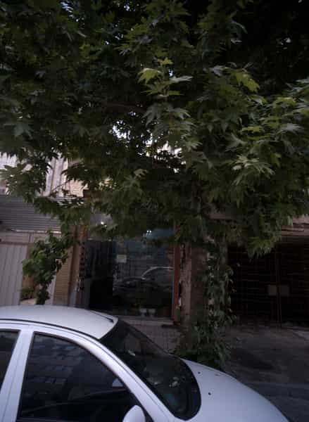 عکس فروشگاه لوازم آرایشی باران در جانباز مشهد