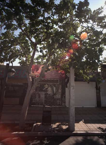 عکس آرایشی مهلا در طلاب مشهد