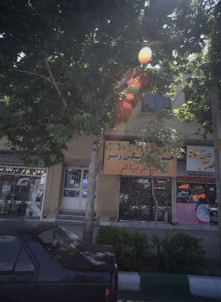 عکس آرایشی شاخه طوبی در نیرو هوایی مشهد